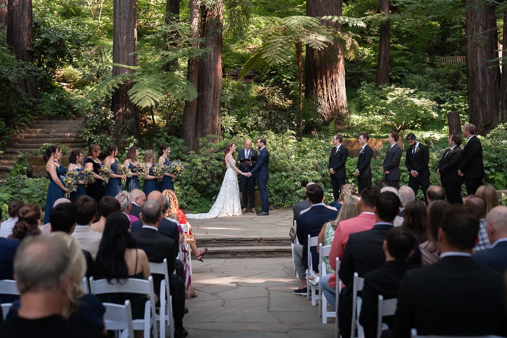 Wedding ceremony in progress under towering redwood trees in a serene forest setting.