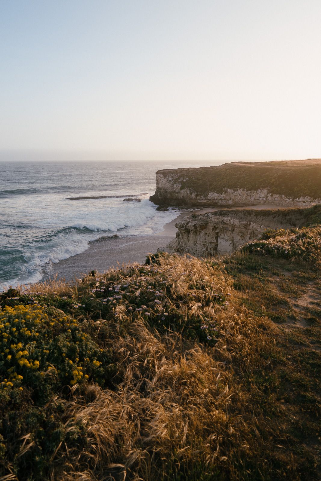 Dramatic coastal cliffs and rugged coastline at sunset with yellow wildflowers blooming along the Pacific Ocean shore.