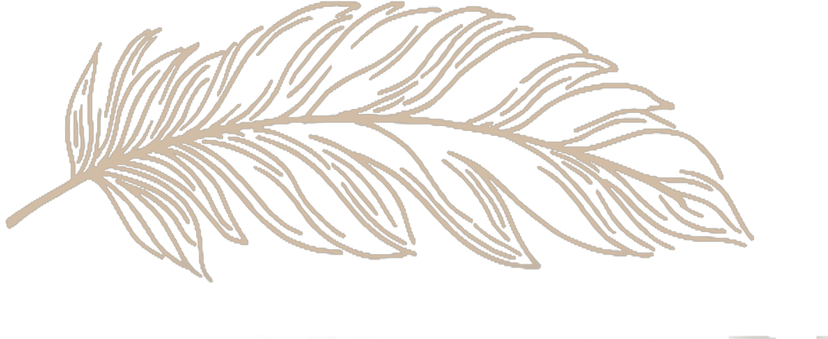 White hand-drawn feather sketch with delicate details and wispy edges on black background.