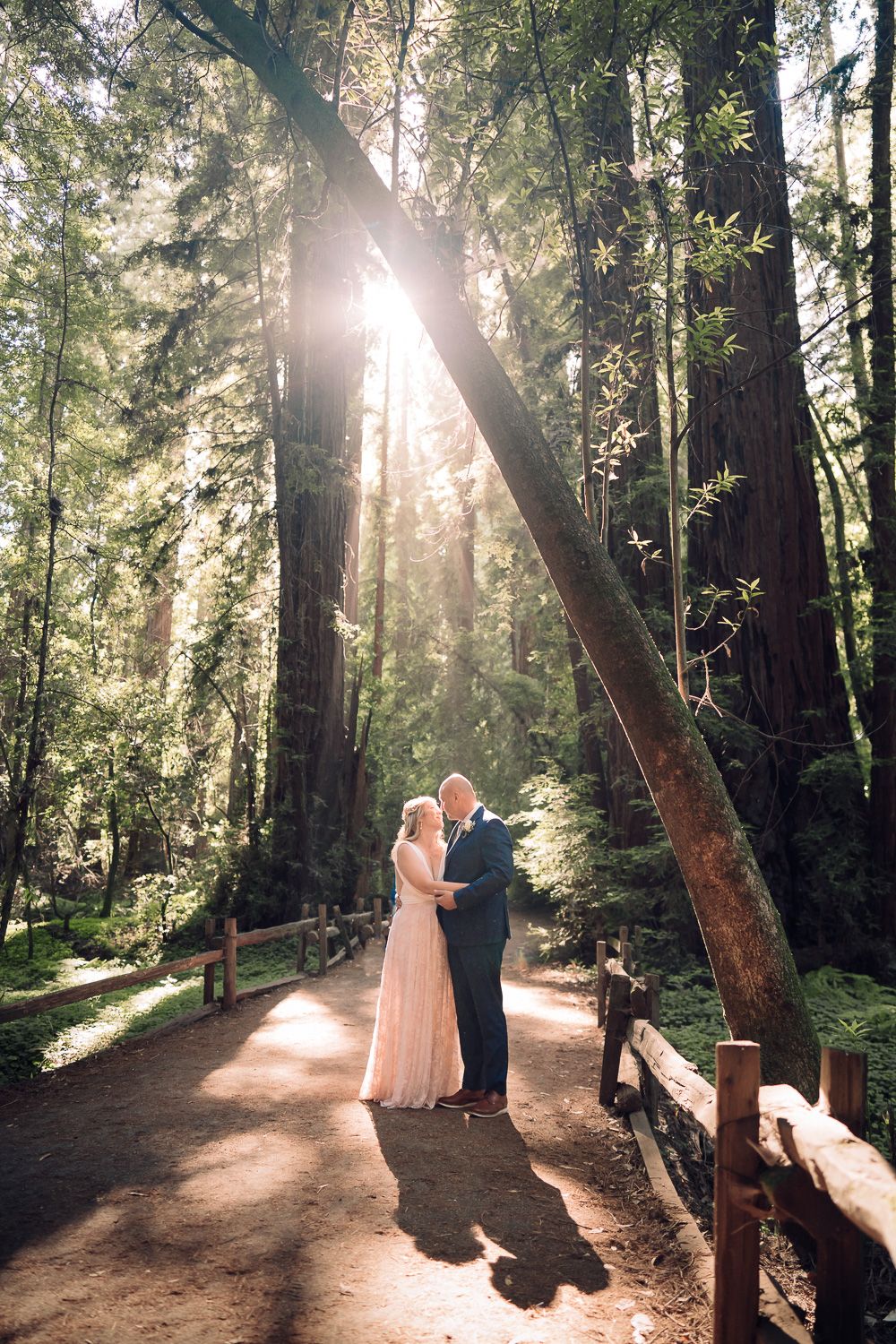 A couple stands together on a sunlit forest path surrounded by towering redwood trees in a dreamy woodland setting.
