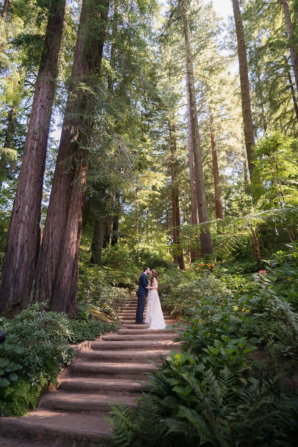 A couple walks together on a winding forest path surrounded by towering redwood trees and lush ferns at golden hour.