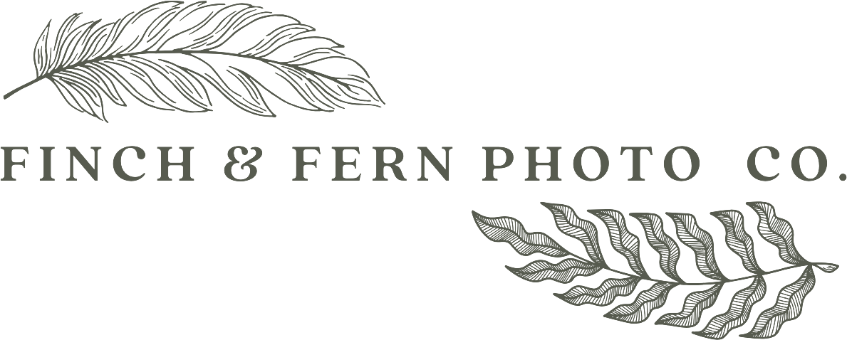 Gray vintage logo design with fern leaf motifs and text reading Finch & Penn Photo Co on black background.