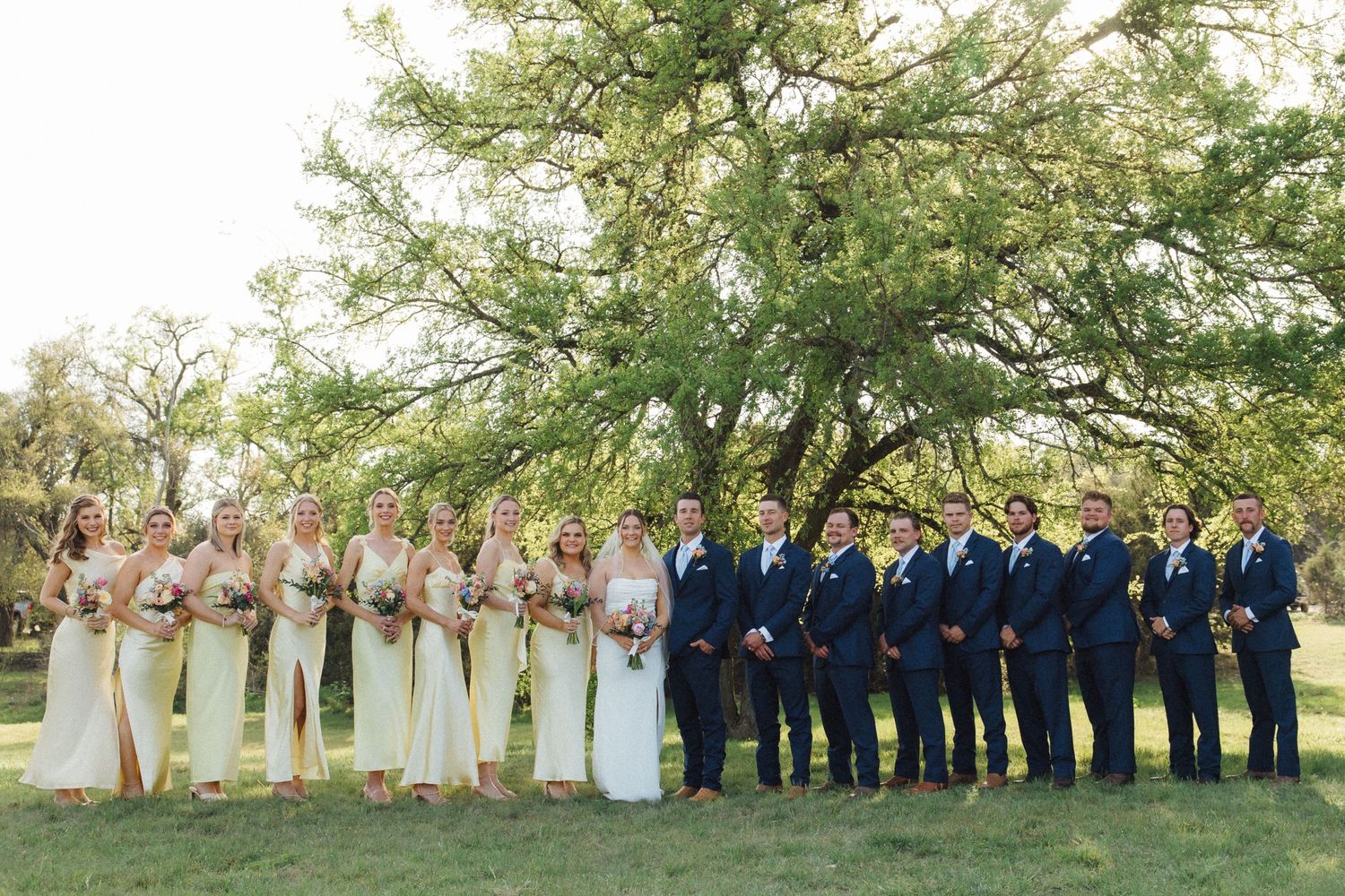 Wedding party in navy suits and pale yellow dresses posed outdoors under a large tree during spring celebration.