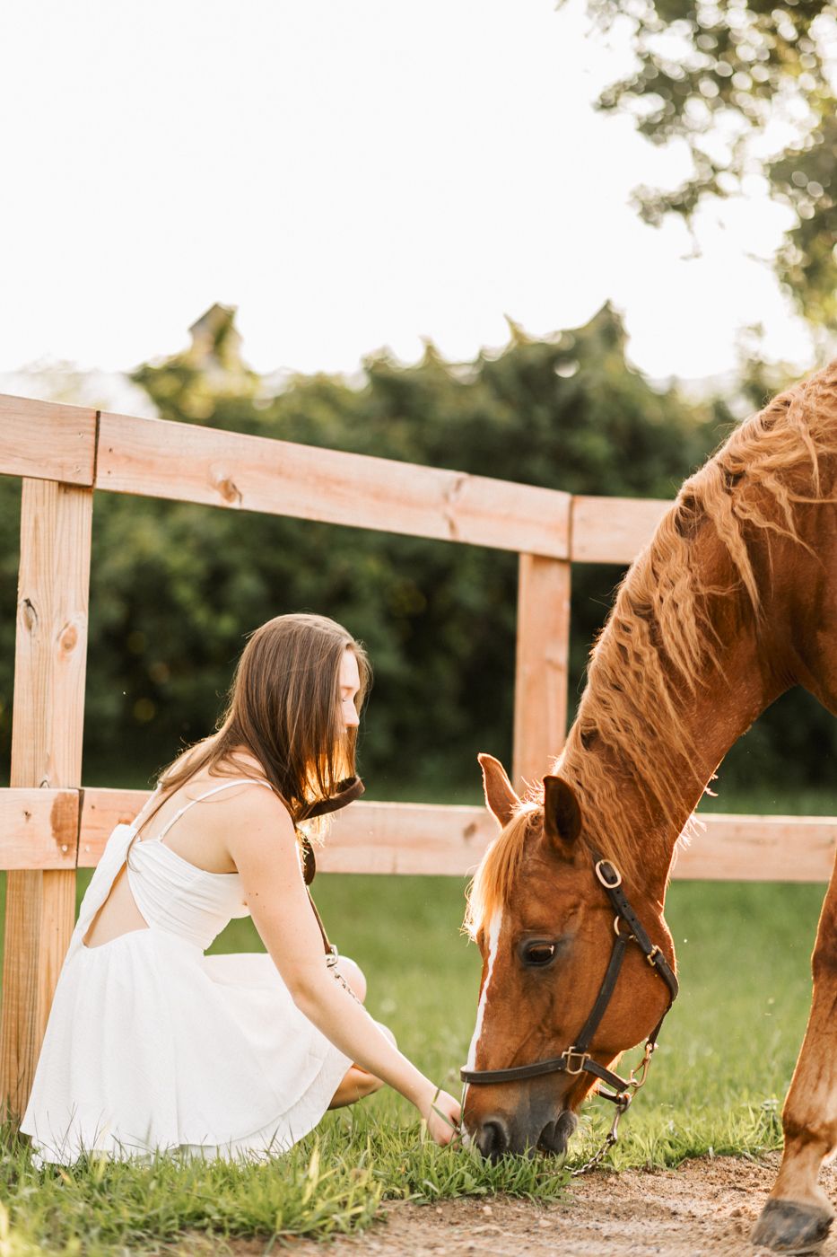 A quiet moment shared with a beautiful brown horse by a wooden fence.