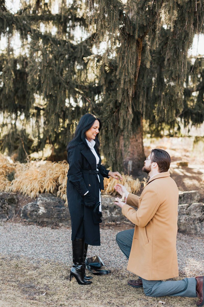 A proposal scene unfolds beneath a dramatic canopy of Spanish moss in a natural outdoor setting.