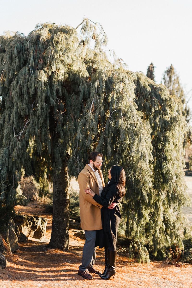 Couple standing close together beneath drooping evergreen branches in a park.