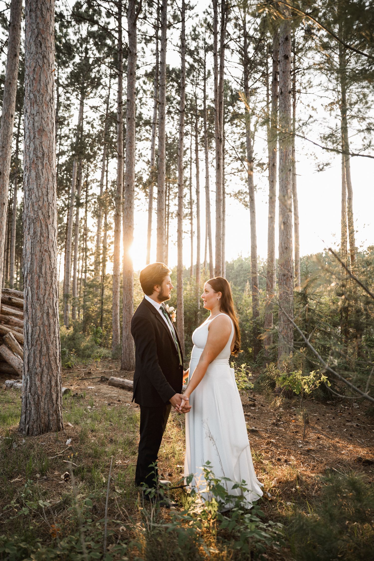 Sunset wedding portrait of couple standing among tall pine trees in golden light.