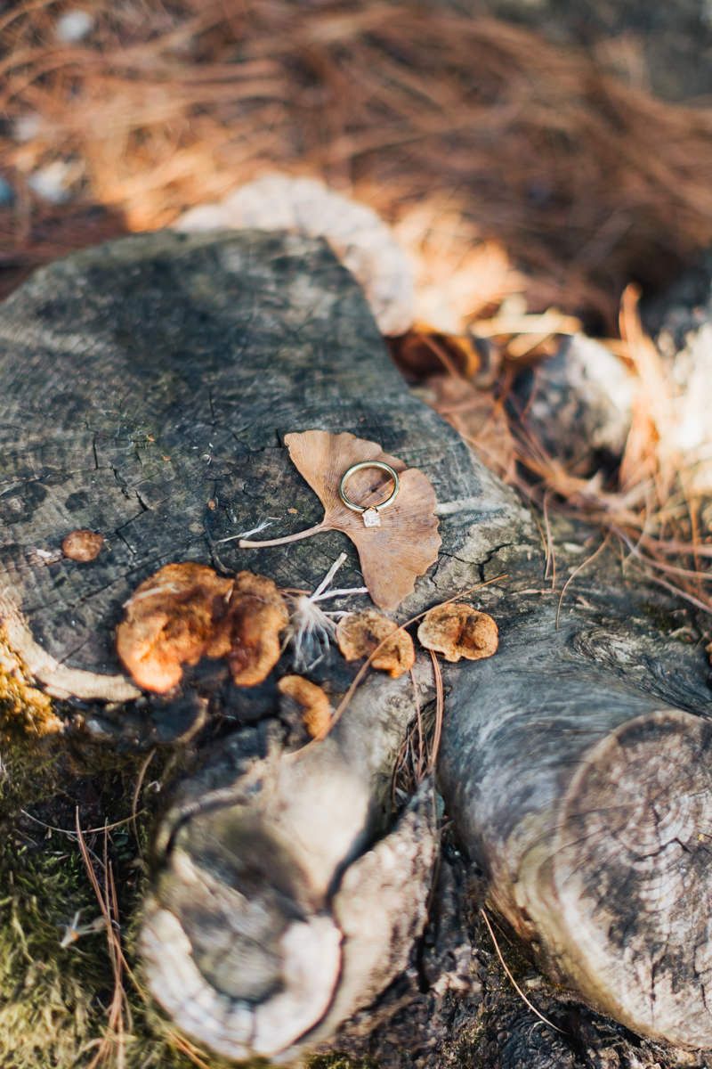 Wedding rings artistically placed on fallen leaves and rustic wood.