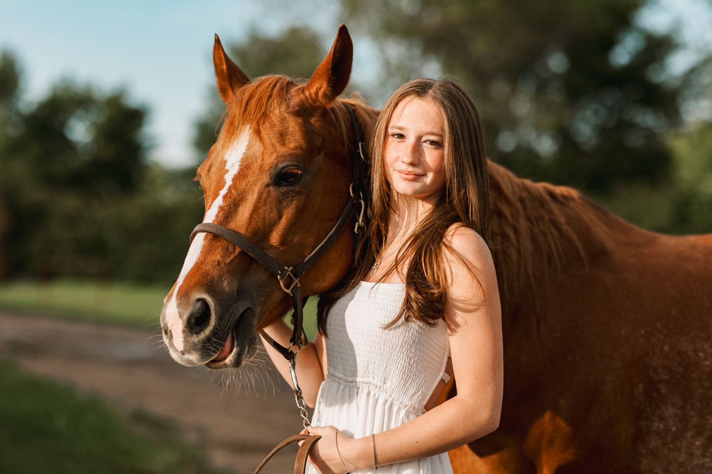 A heartwarming moment between a chestnut horse and its companion in golden sunlight.