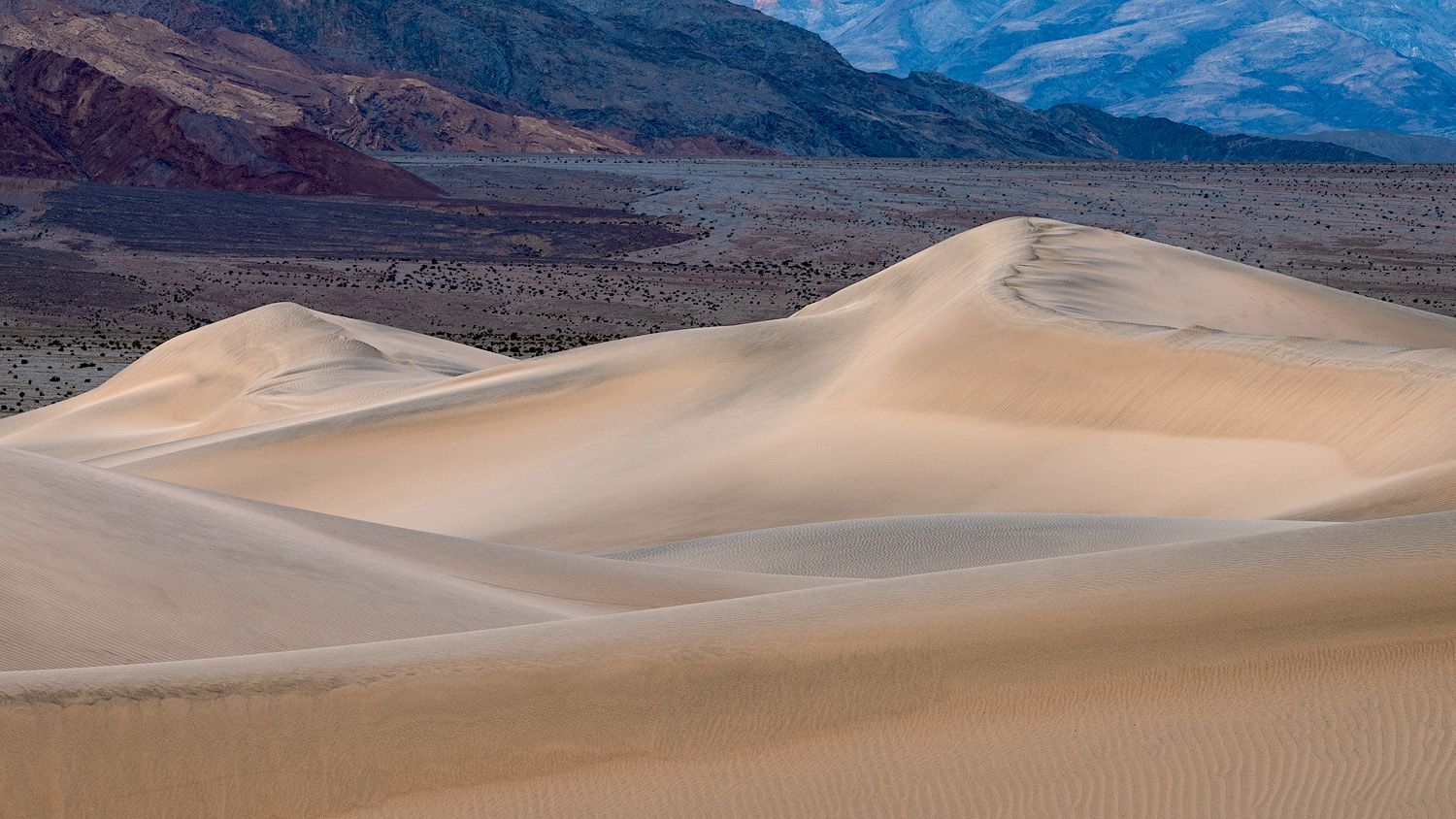 Smooth desert sand dunes curve gracefully across the landscape under a blue desert sky.