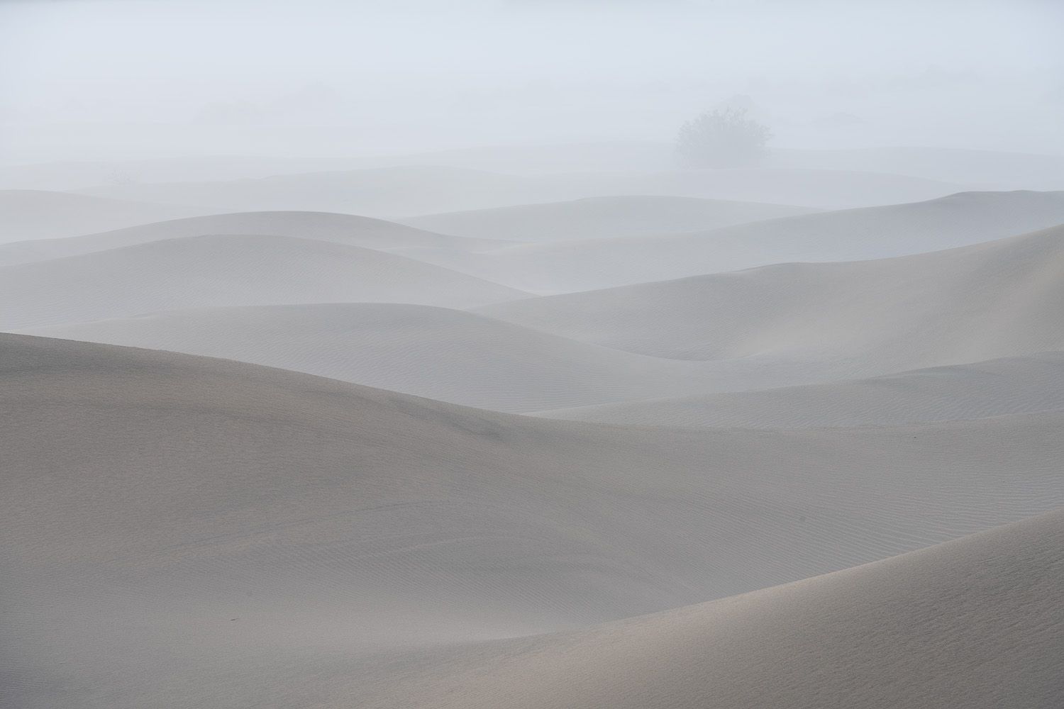 Ethereal desert landscape with layered sand dunes fading into foggy horizon.