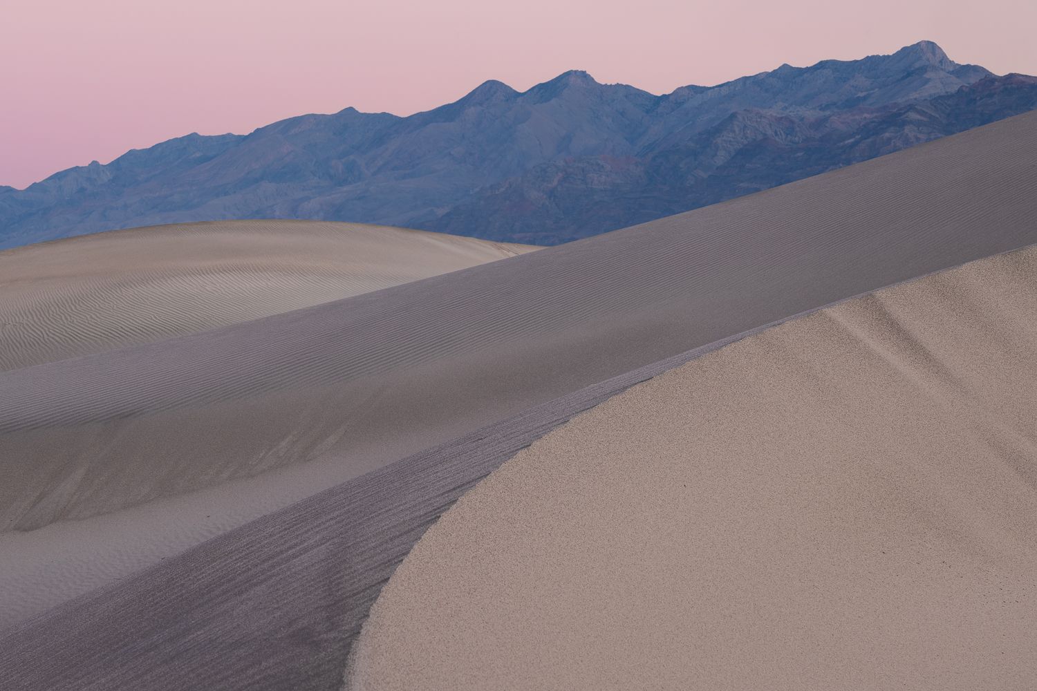 Pink sky at sunrise illuminates rolling sand dunes against mountain backdrop.