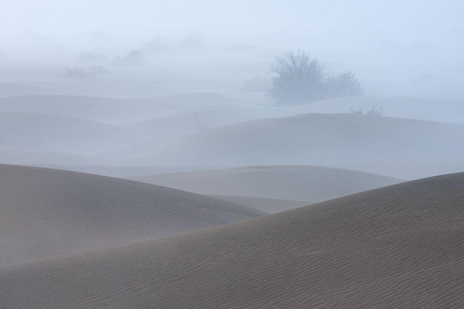 Misty sand dunes rolling into the distance under an overcast sky.