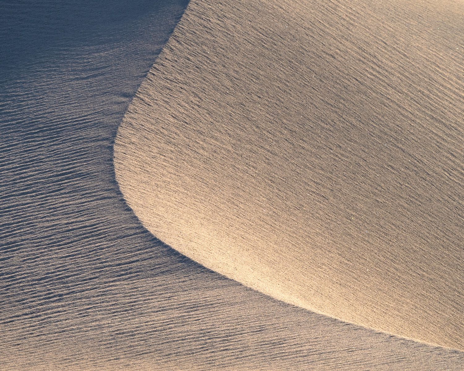 Abstract pattern of wavy sand dunes creating smooth ripples and textures in natural desert landscape.