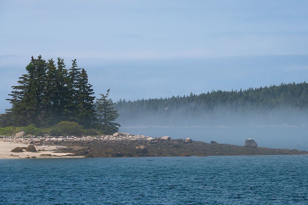 Coastal landscape with evergreen trees on small islands in calm blue waters.