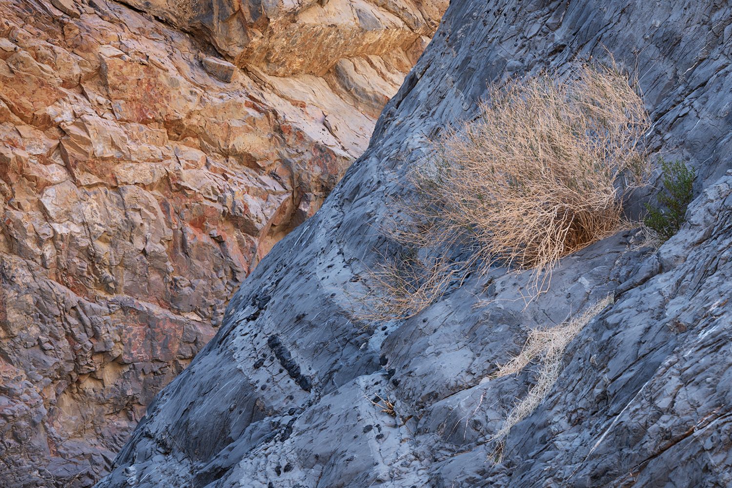 Steep rocky canyon walls display dramatic layers of red and gray stone formations.