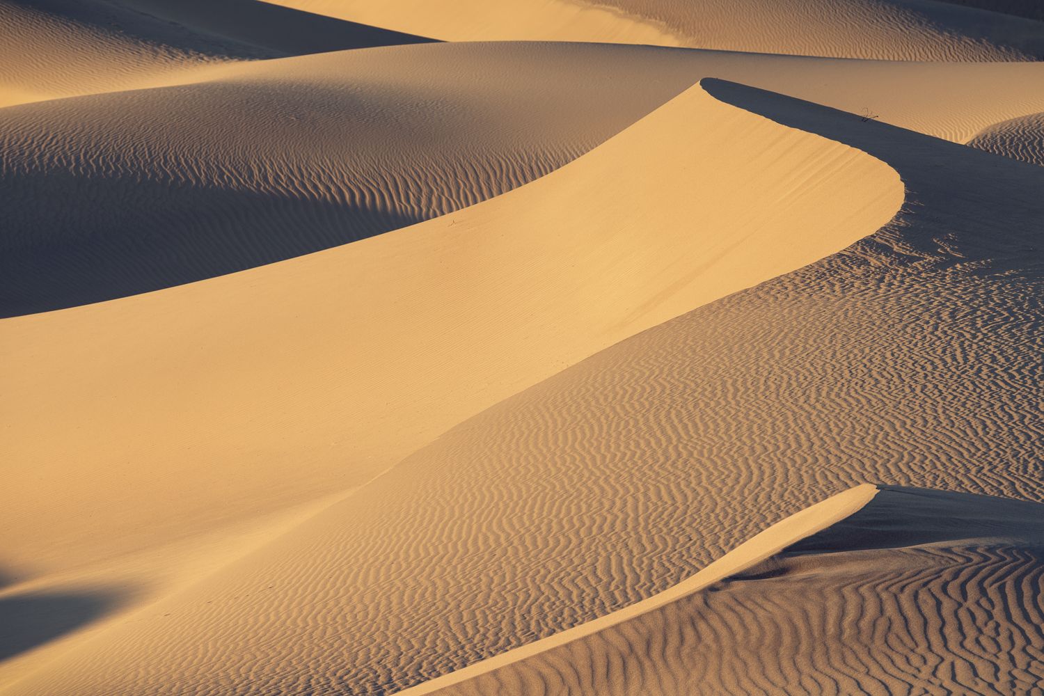 Golden sand dunes with rippled patterns stretching toward distant mountains at sunset.