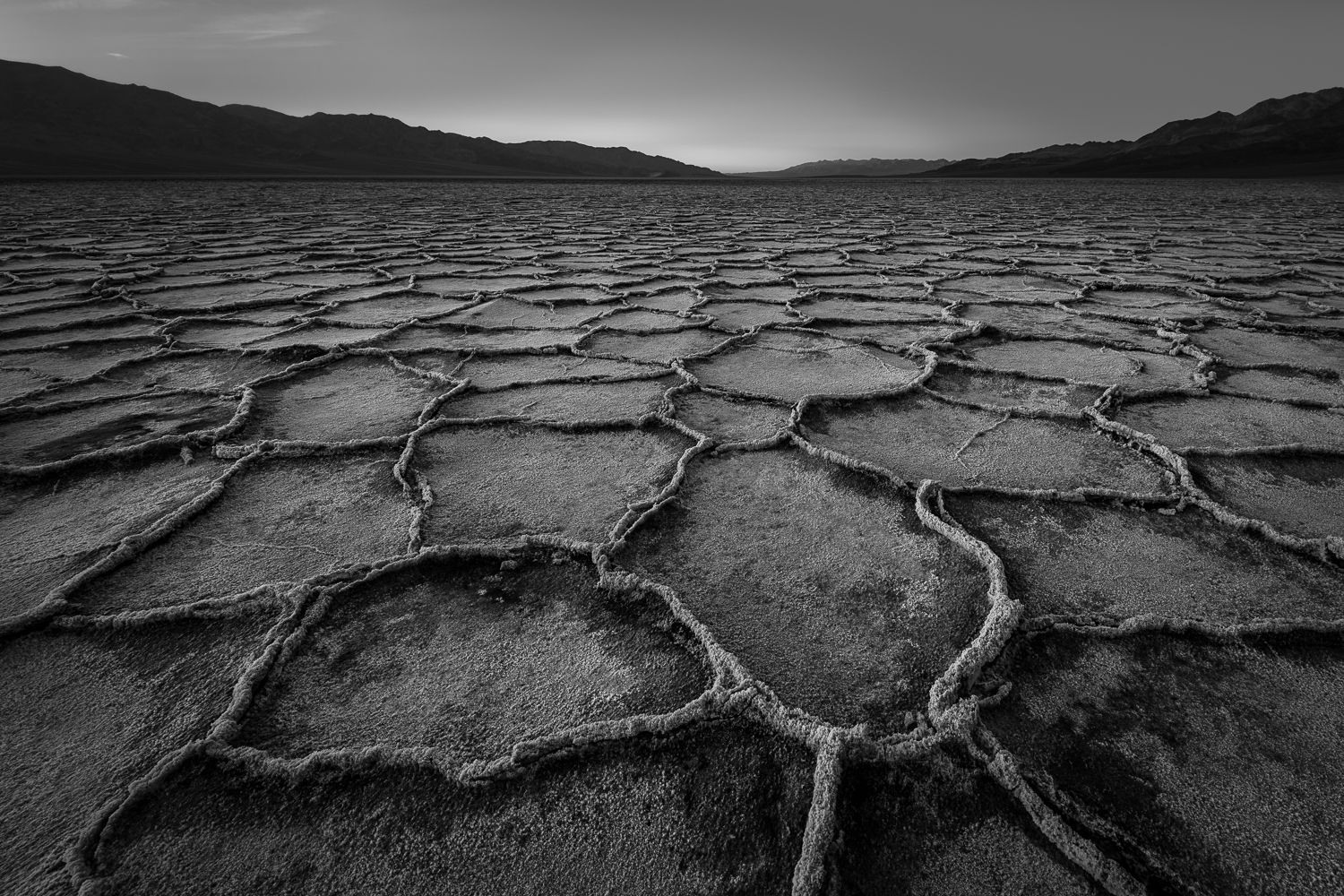 Cracked dry mud patterns extend across a desert landscape in black and white.