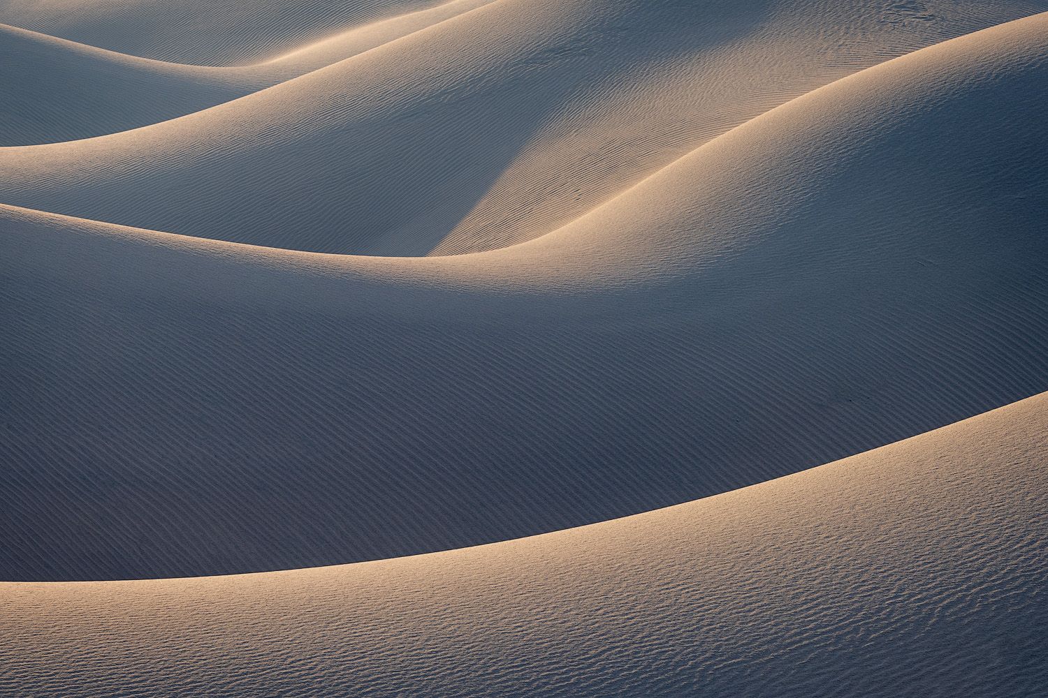 Smooth desert sand dunes with gentle curves and shadows creating a sensual landscape pattern.