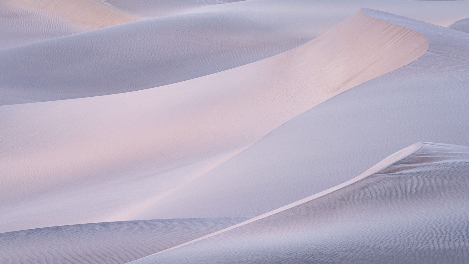 Smooth curves and patterns in sand dunes illuminated by soft pink light.