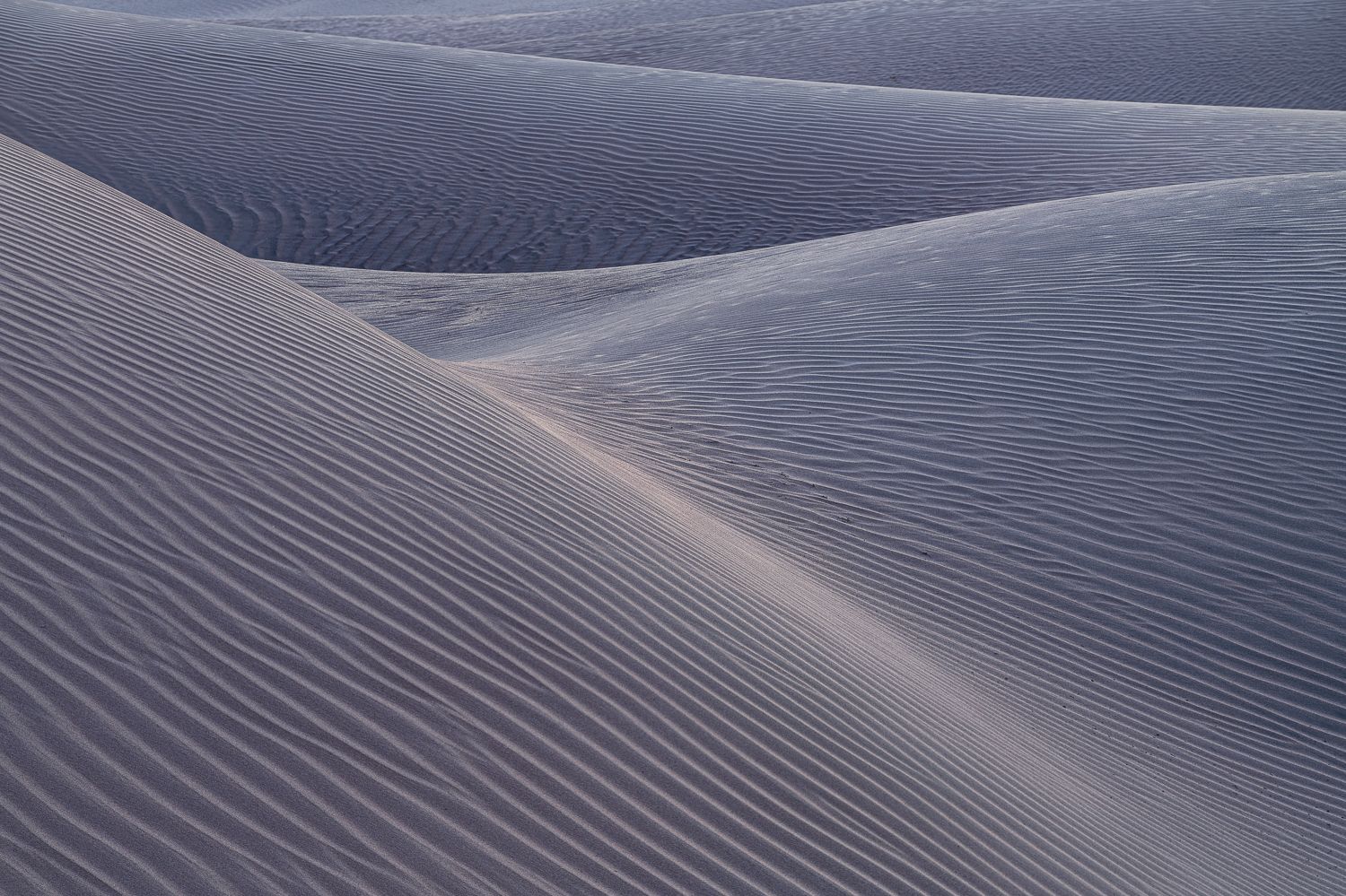 Abstract patterns of rippling sand dunes with smooth curved ridges in soft light.