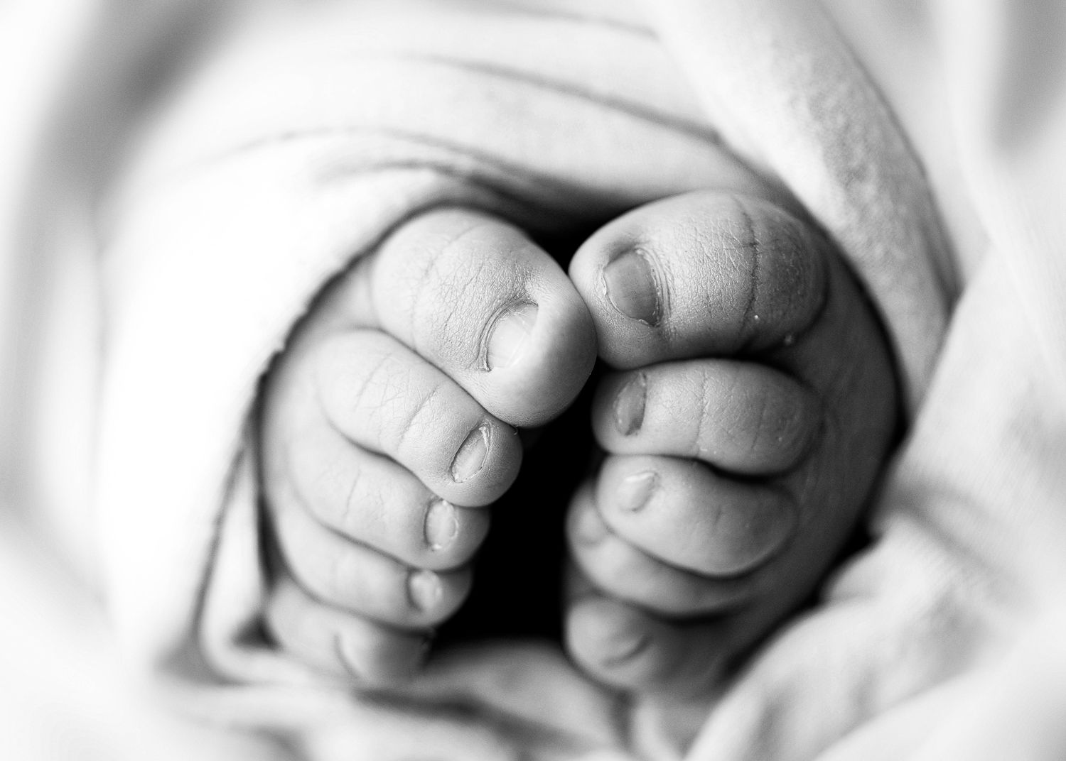 Close-up black and white photo of tiny baby feet wrapped in soft white blanket showing delicate toes.