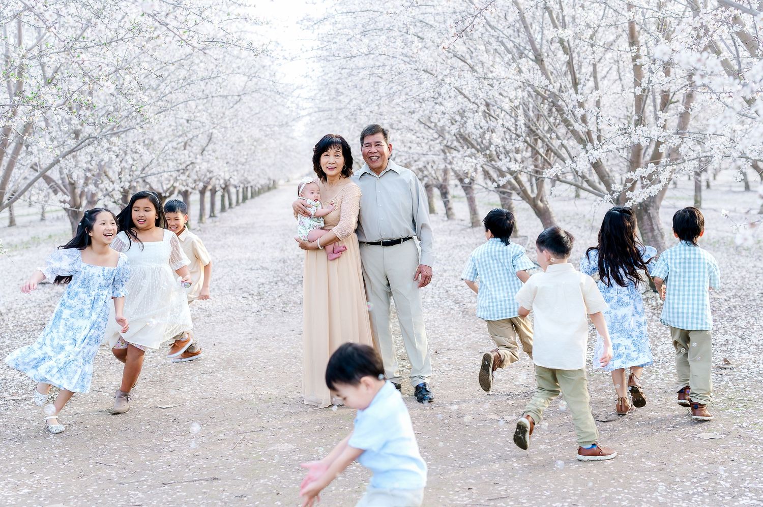 A playful family photo in an orchard with children running through blooming trees.