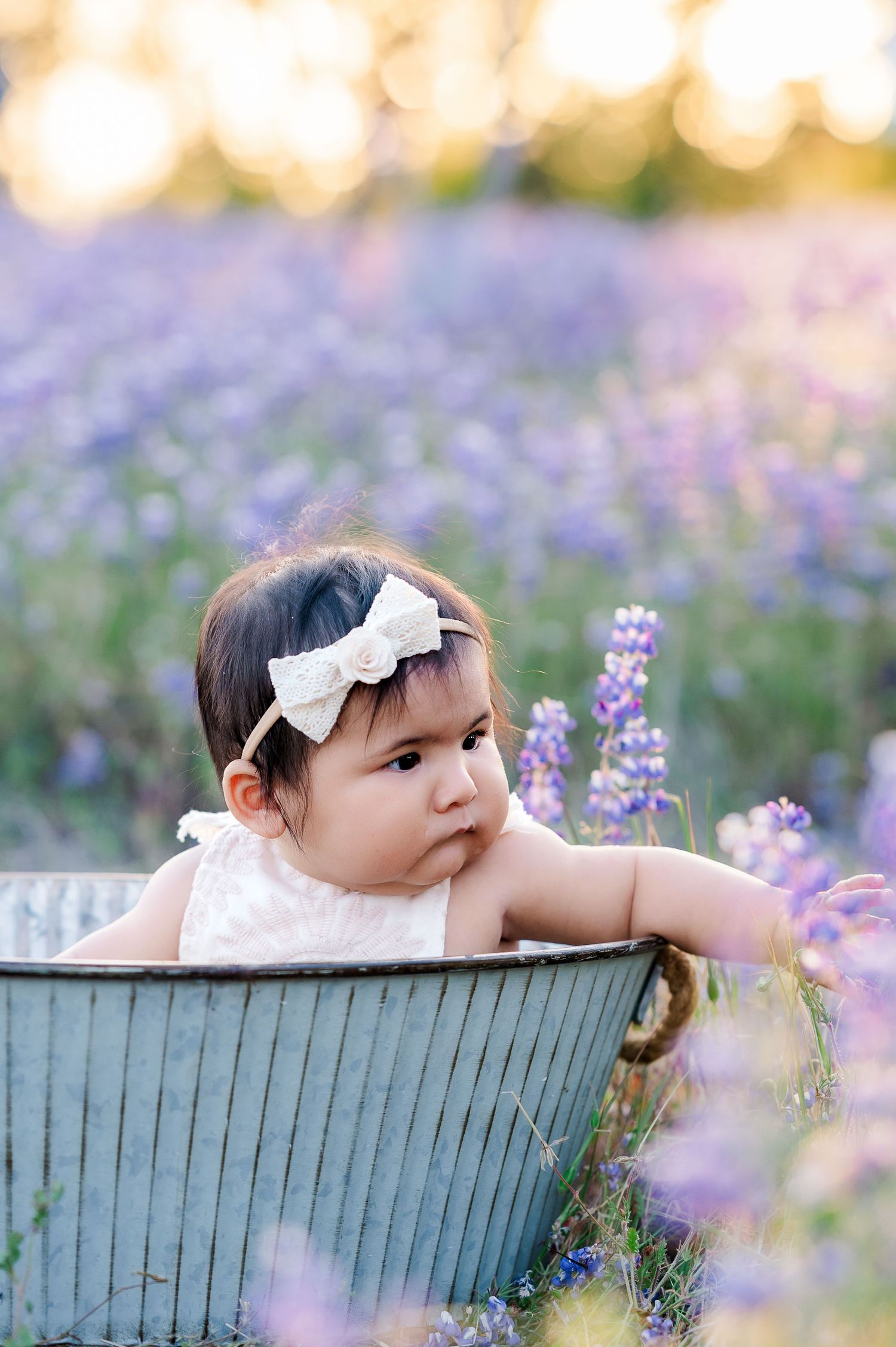 Baby in vintage tub poses among blooming purple wildflowers during sunset.
