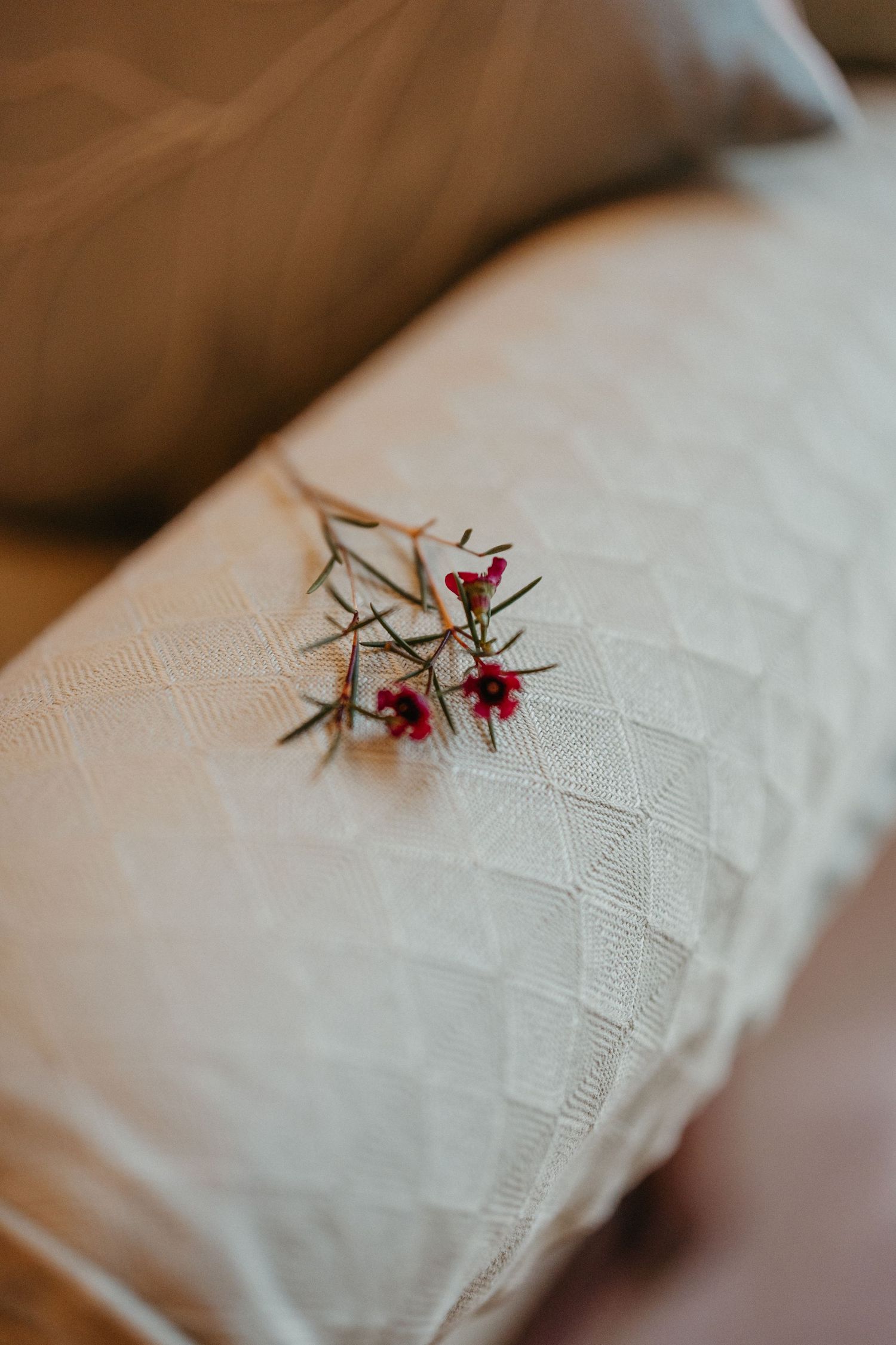 Small delicate red flowers resting on a white textured fabric cushion in soft natural lighting.
