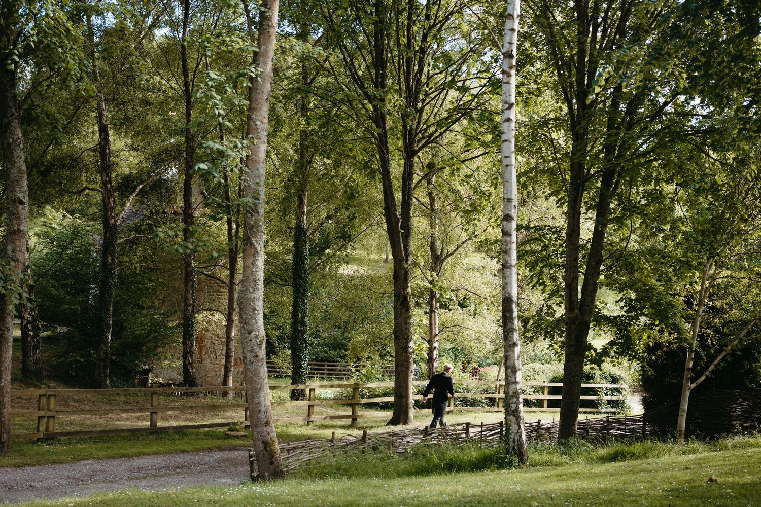 A peaceful scene of a figure walking through a wooded park area with sunlight filtering through tall trees.