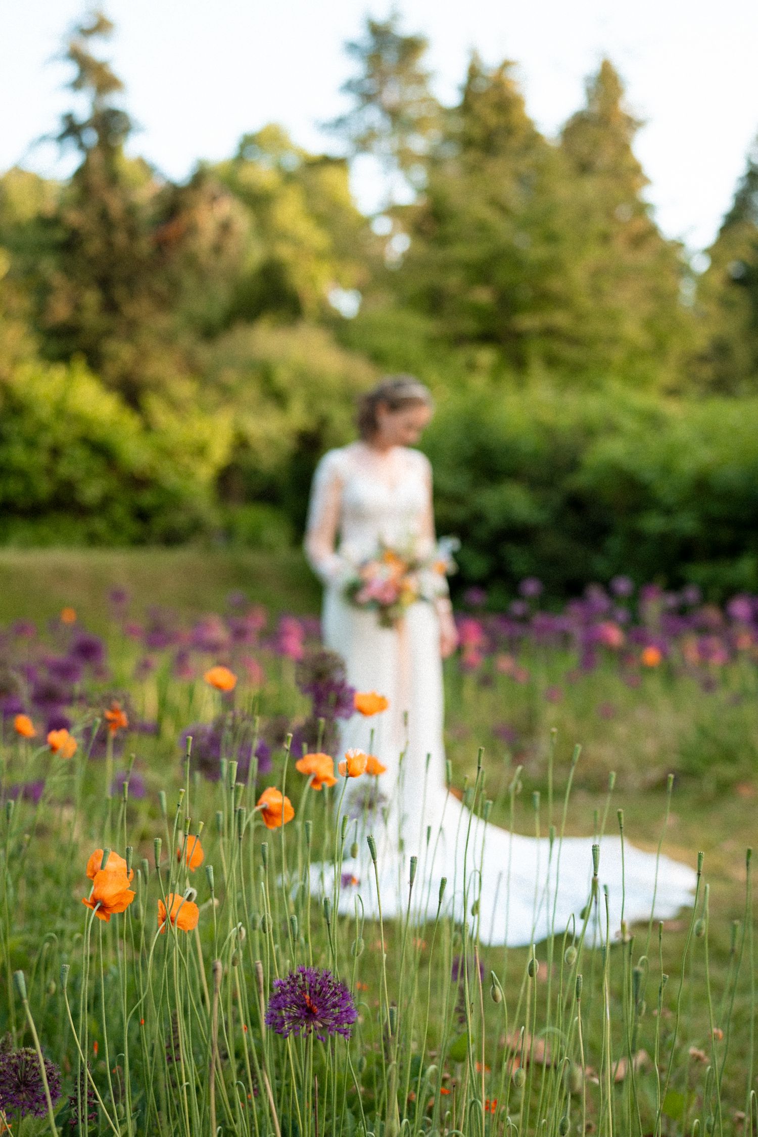 White wedding dress flowing in a garden filled with purple allium and orange poppies. Wedding at Nonsuch Mansion