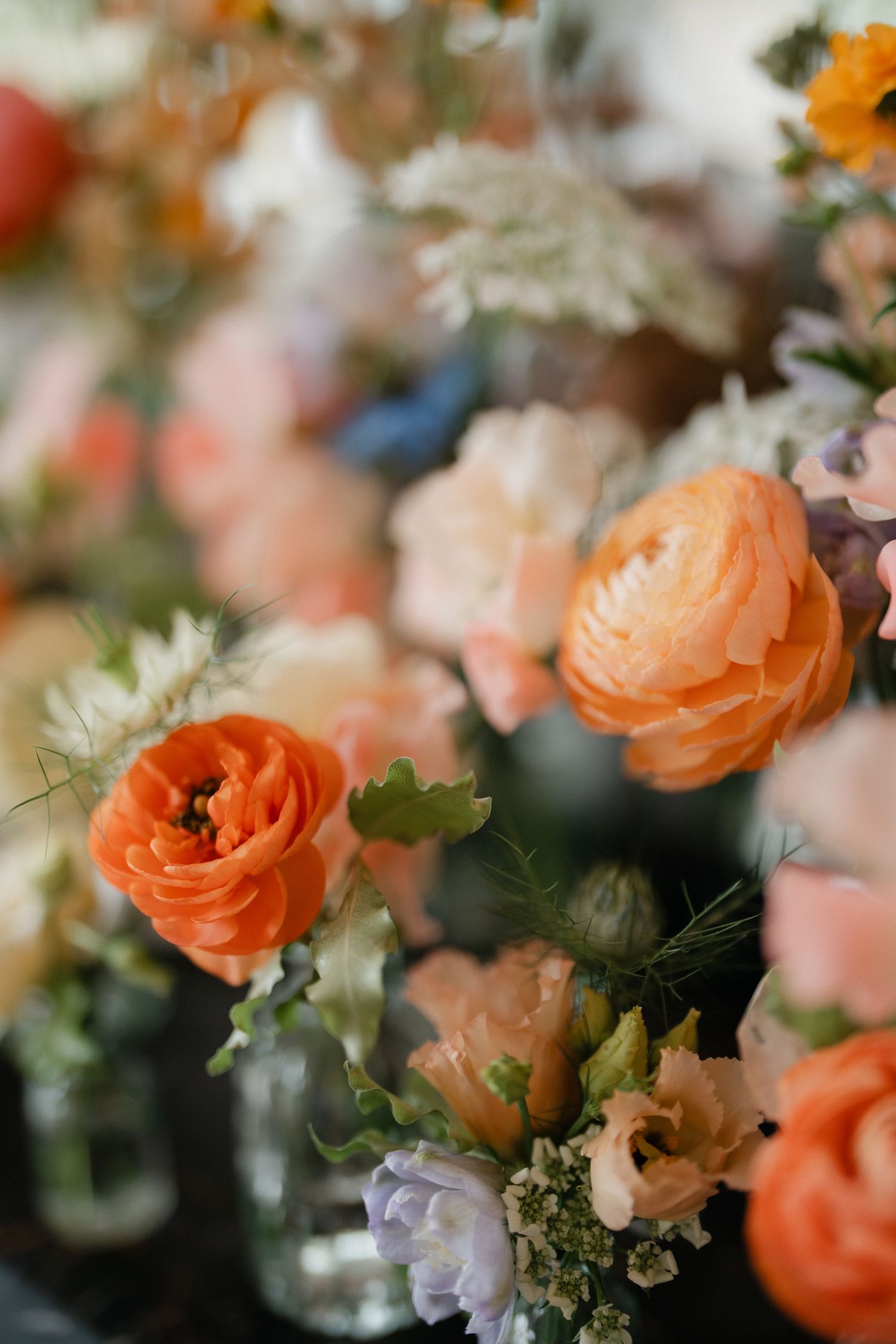Beautiful peach and coral ranunculus flowers in a soft focus arrangement with delicate greenery and pastel blooms.