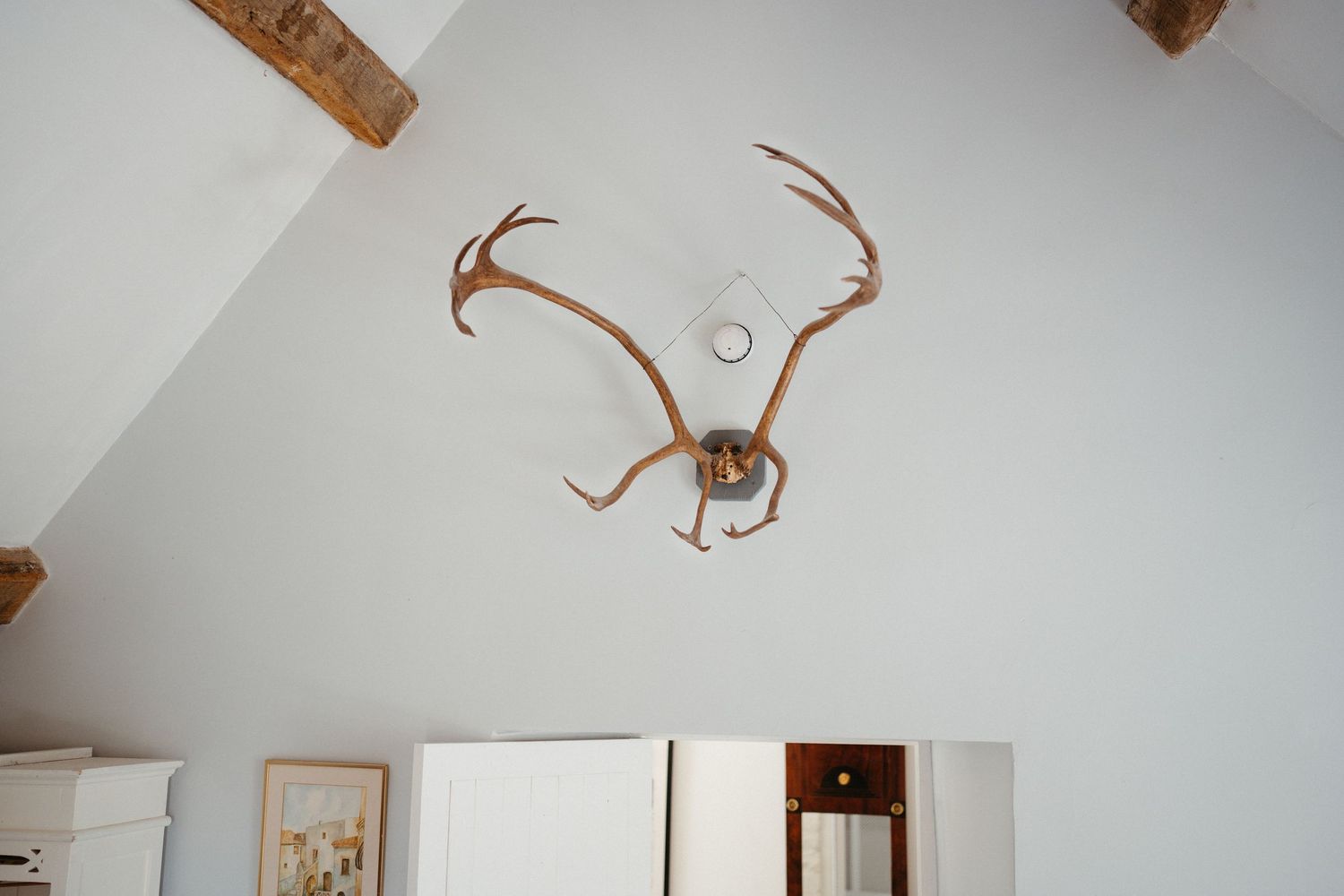 A minimalist wooden antler sculpture mounted on a white wall above white storage cabinets.