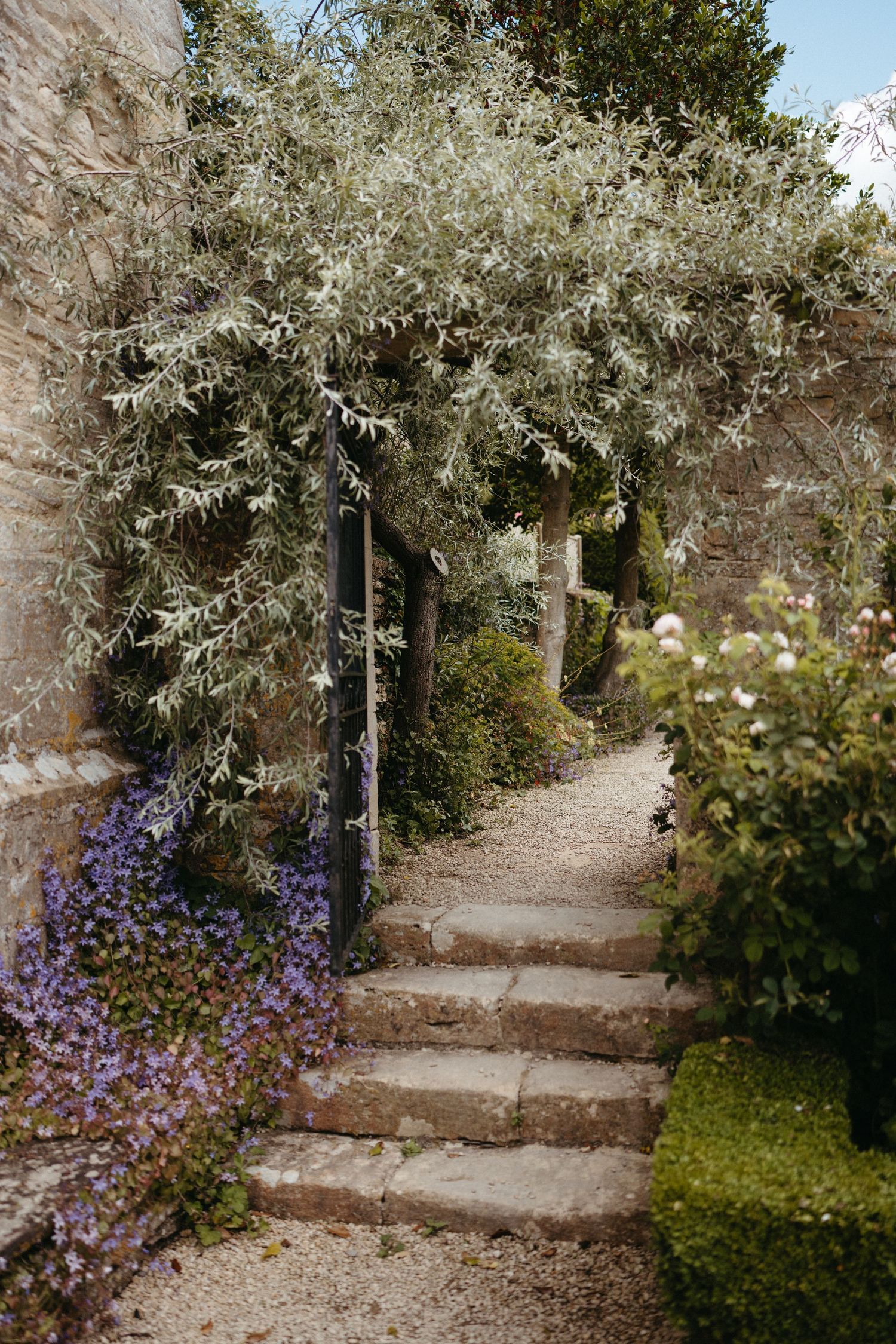 Stone steps winding through a garden path with overhanging trees and purple flowers along the side.