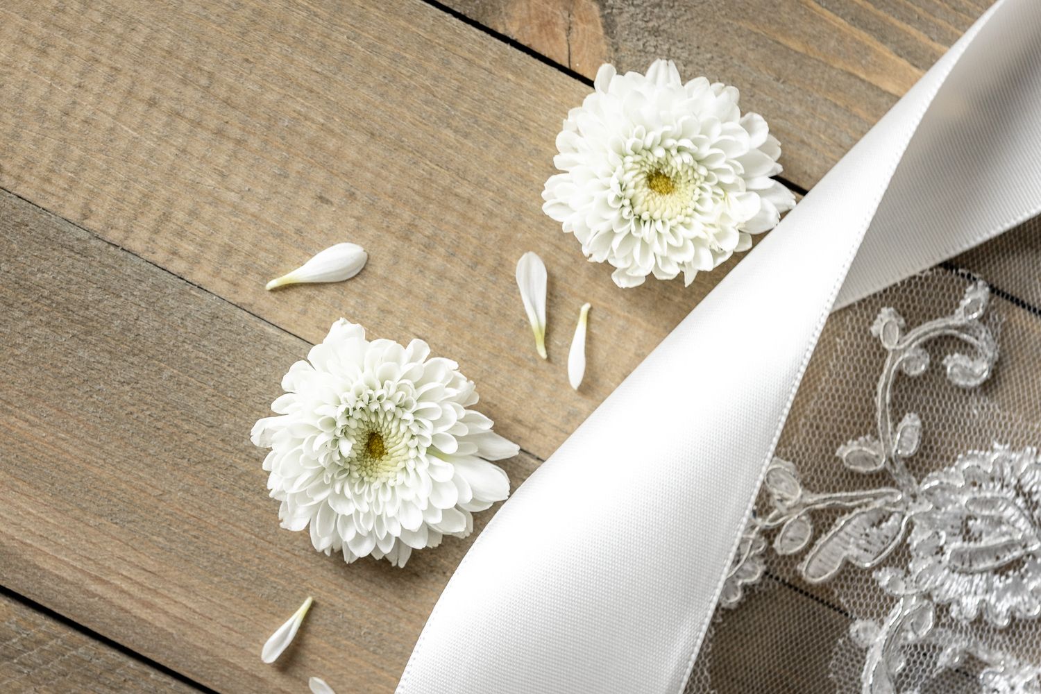 White chrysanthemum flowers and ribbon lay on rustic wooden surface with delicate floral lace details.