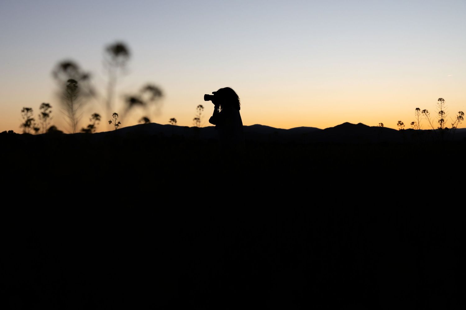 A silhouetted figure takes a photo against a sunset sky with wildflowers dotting the dark foreground landscape.