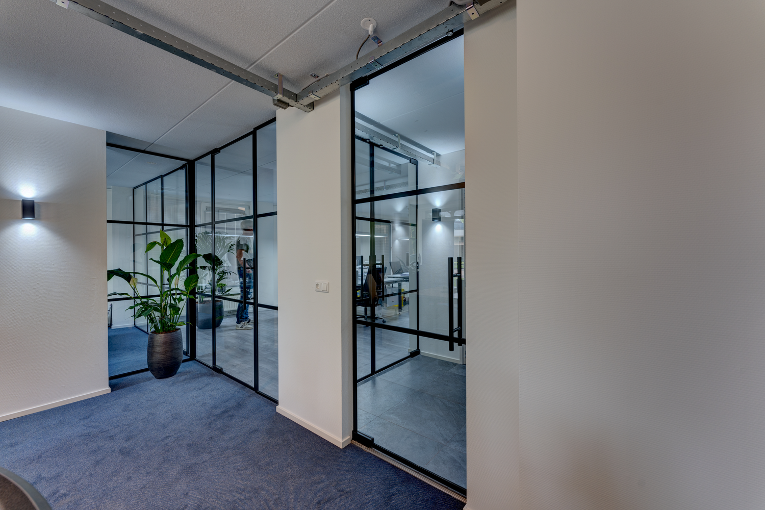 Minimalist office hallway with glass partitions, gray carpet, and a decorative plant.