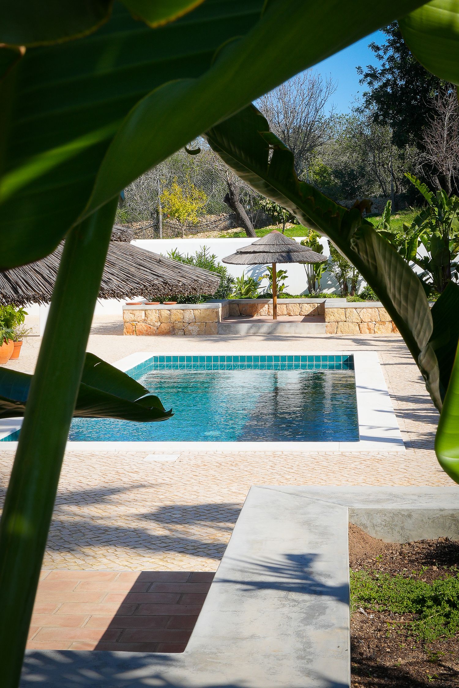 Luxury swimming pool with stone walls and terrace viewed through tropical plant leaves on a sunny day.