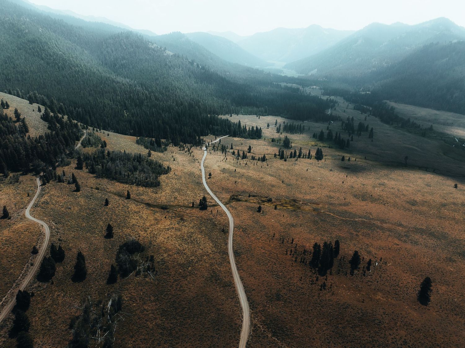 Aerial view of winding mountain road cutting through golden grasslands with scattered evergreen trees and misty peaks.