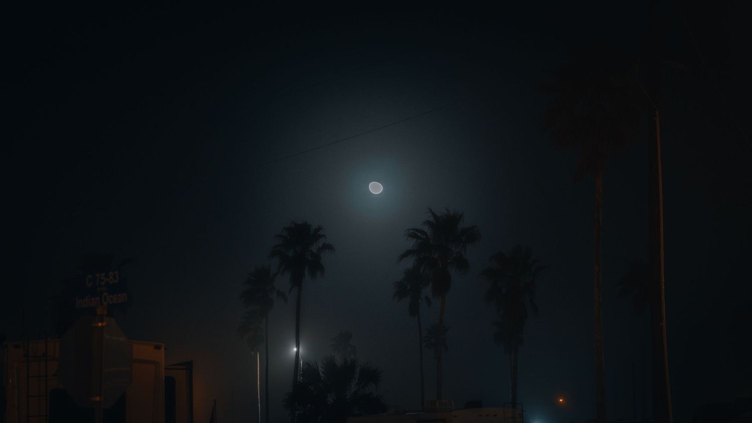 Palm trees silhouetted against a hazy night sky with a bright full moon and street lights creating an atmospheric urban scene.