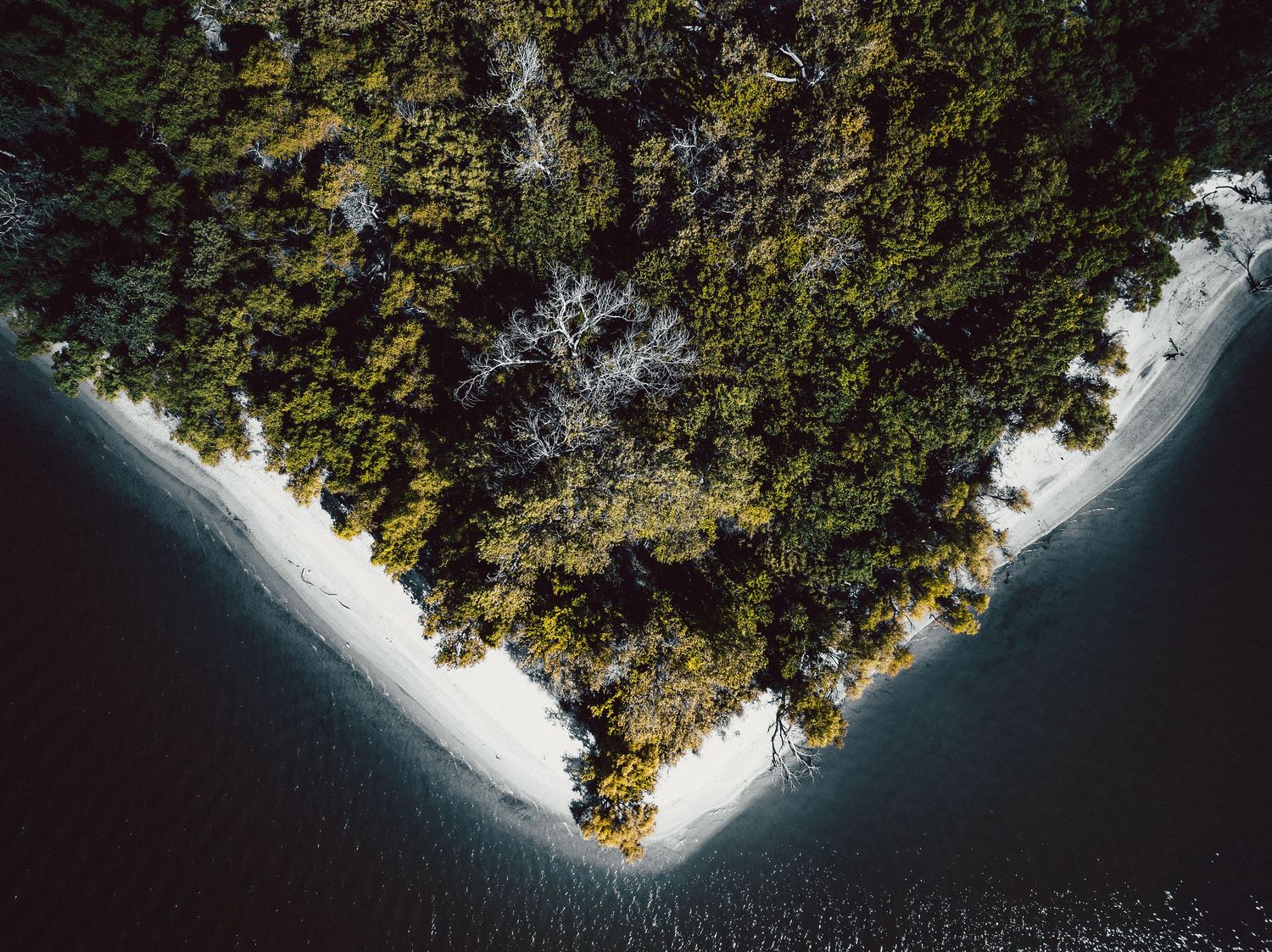 Aerial view of a sharp coastal point where dense forest meets white sandy beach and dark blue ocean waters.