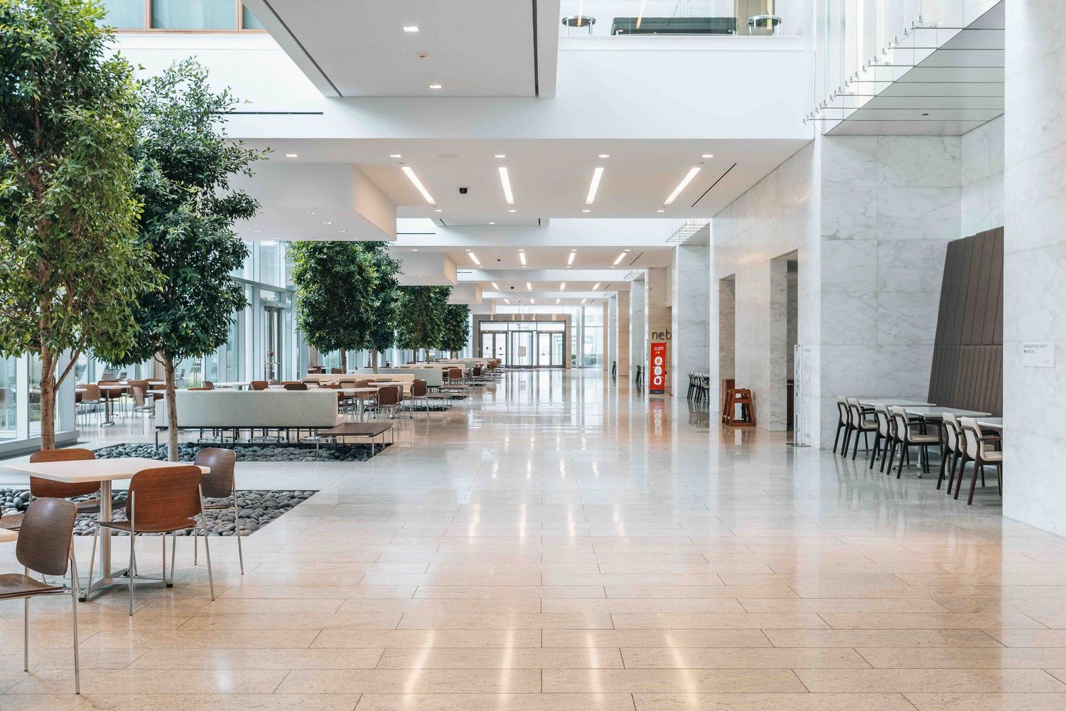 Bright modern commercial lobby with indoor trees, white walls, and minimalist seating arrangements.