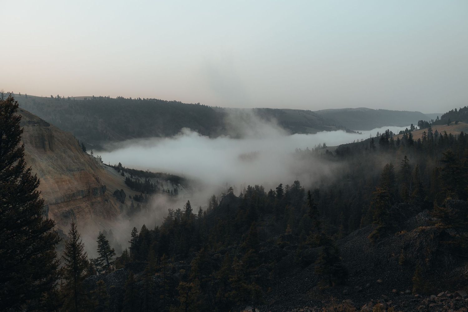 Misty fog rolls through a dark evergreen forest valley at dusk with mountains visible in the distance.