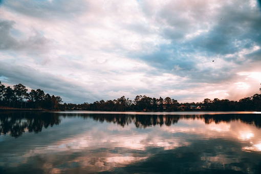 Forest Lake Landscape