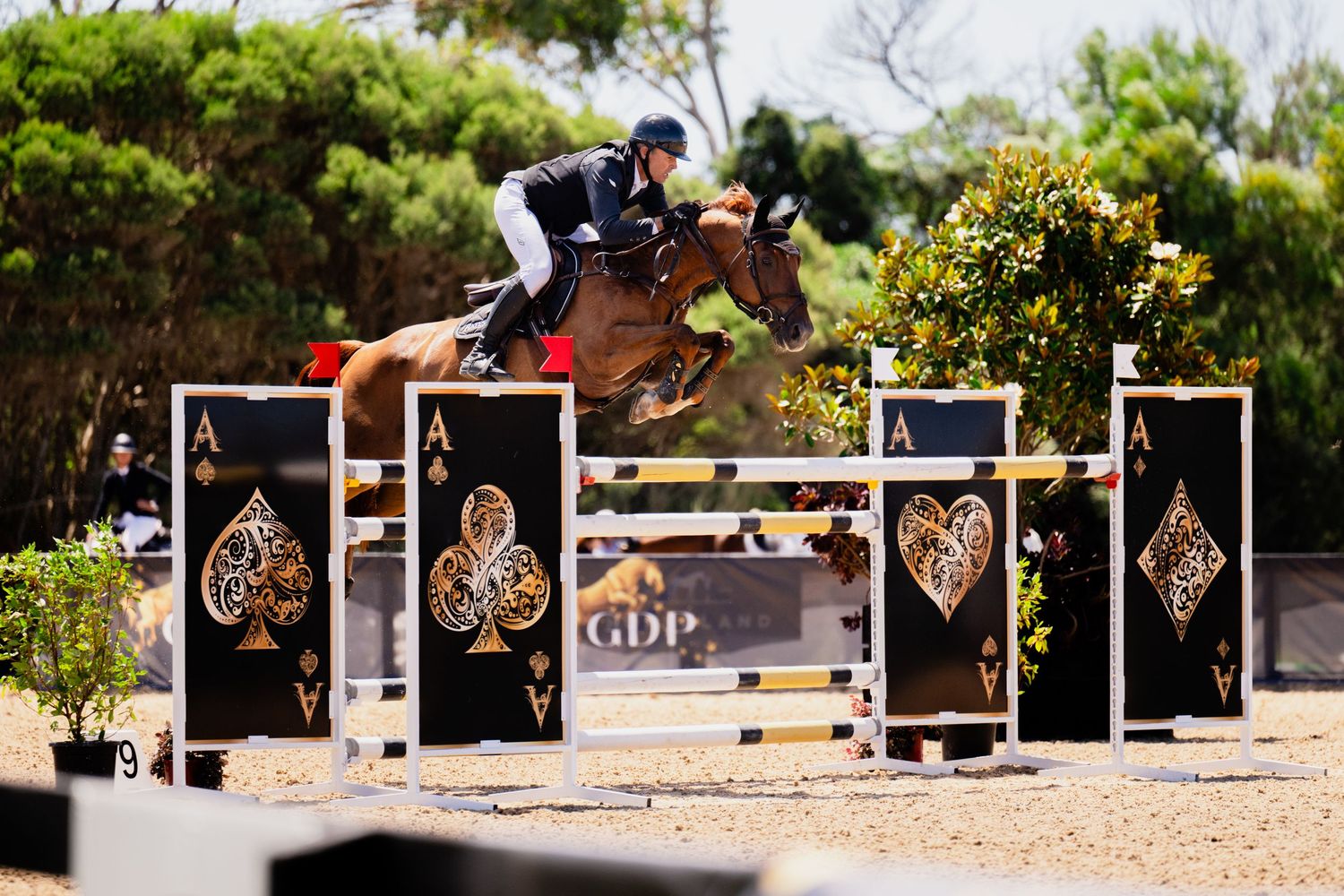 Row of decorative black and gold jump obstacles lined up on sunny equestrian course.