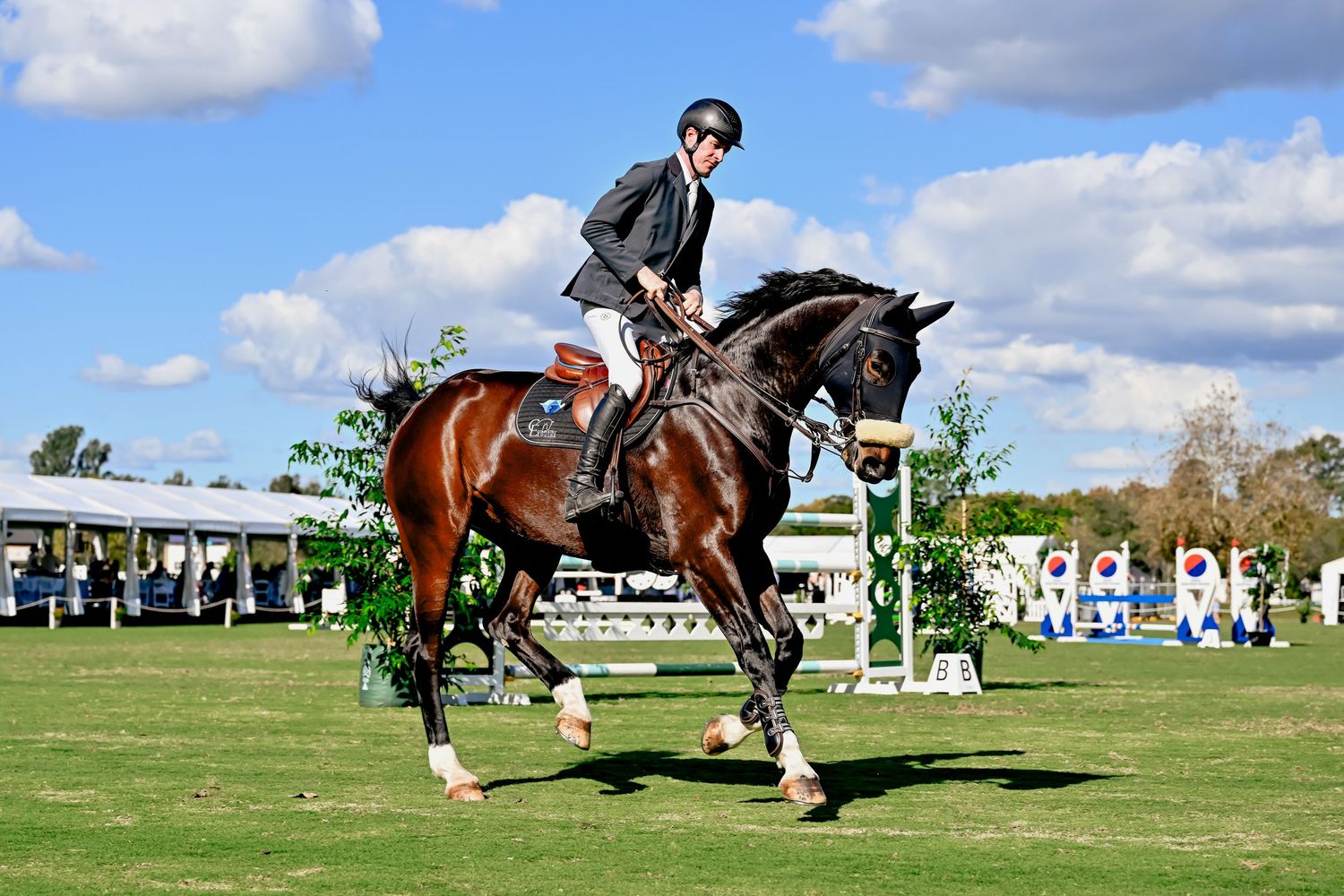 Horse and rider cantering around during an outdoor equestrian competition.