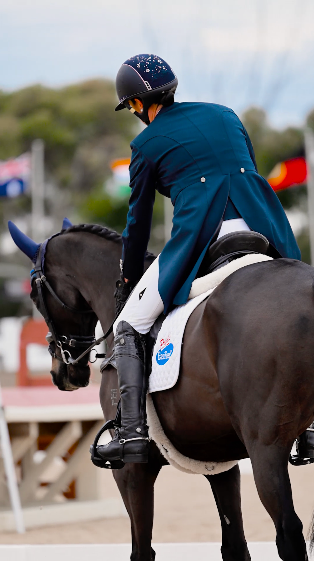 Backward view of a rider in navy attire on a black horse during a dressage competition patting horse on the neck.