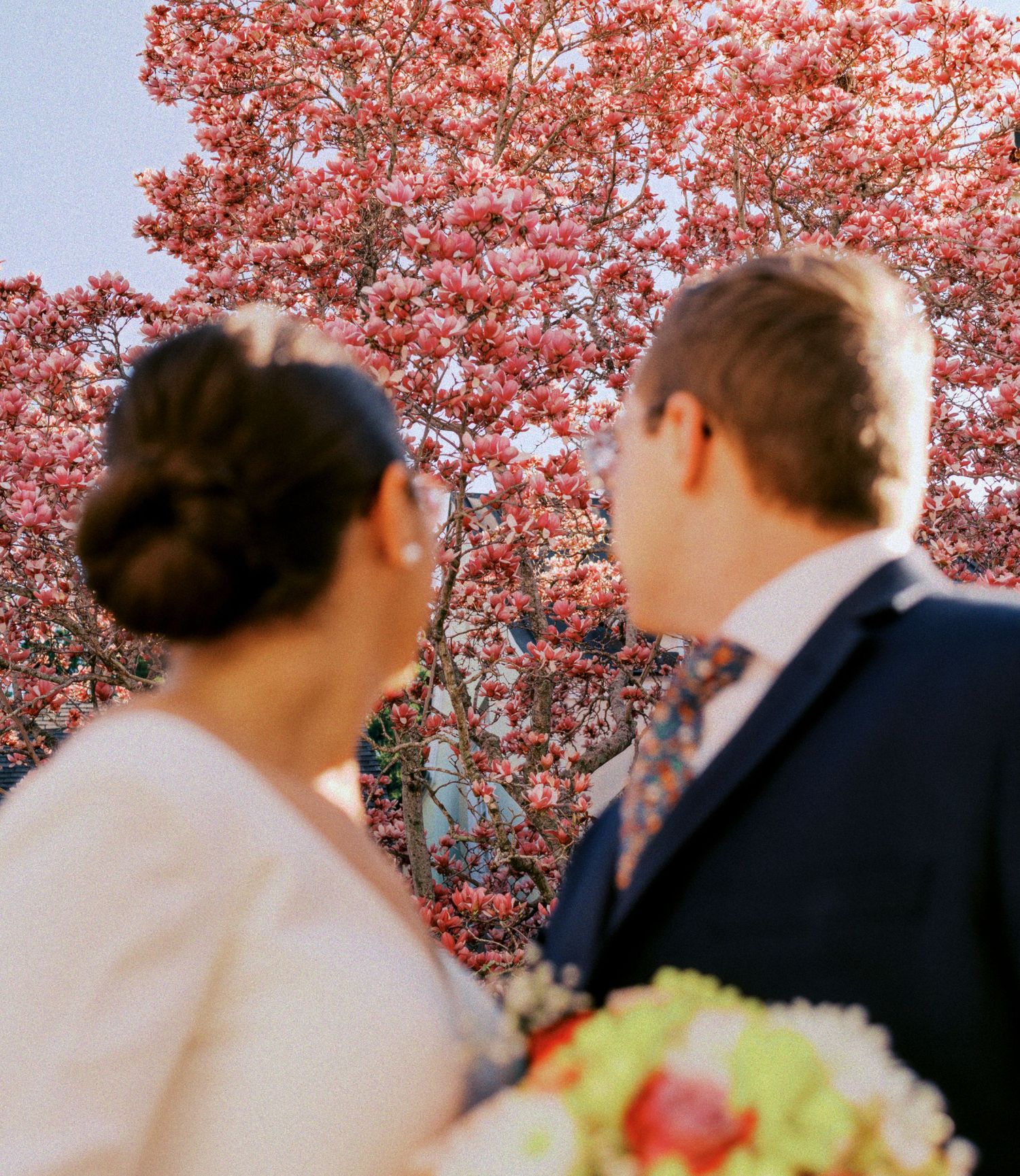 Two people share a moment beneath blooming pink cherry blossoms on a romantic spring day.