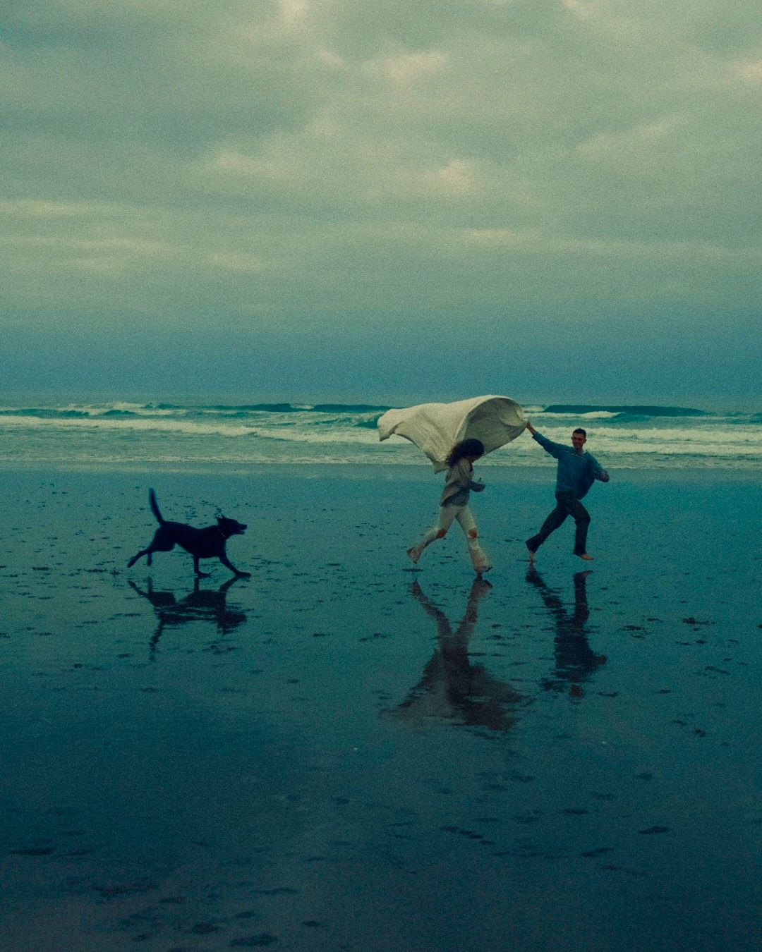 Two people and a dog play with a blanket on a misty beach at dusk with their reflections visible in the wet sand.
