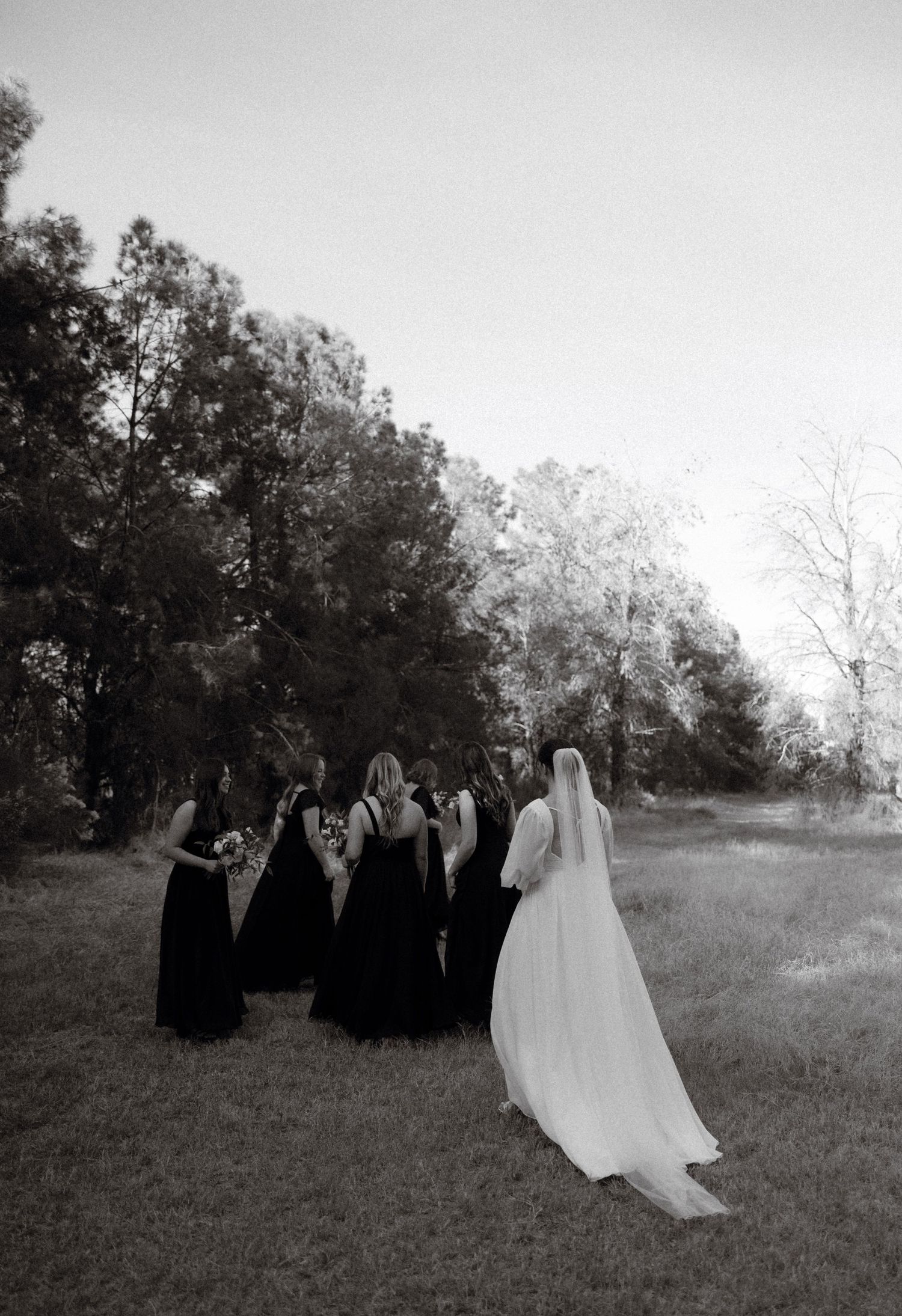 A wedding party with bridesmaids in black dresses gathered on a lawn in black and white.